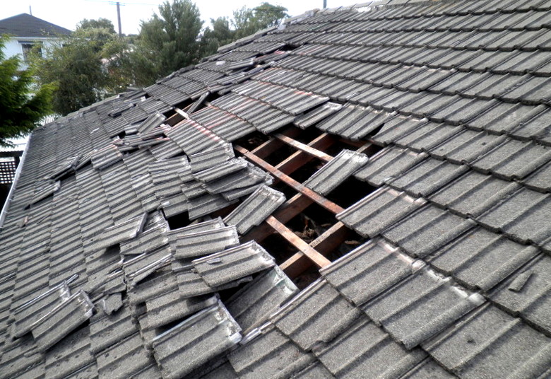 Common Causes of Roof Damage – Protect your roof to protect your home