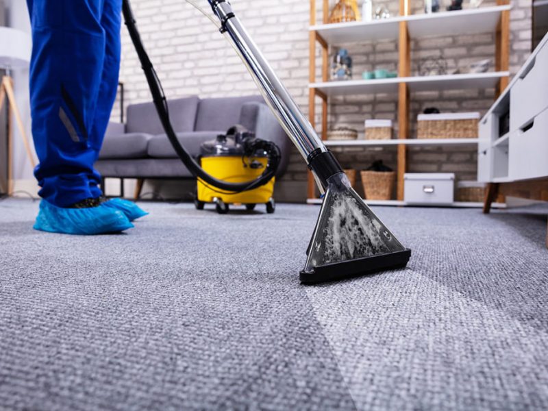 Looking for Affordable Carpet Cleaning in Van Nuys?