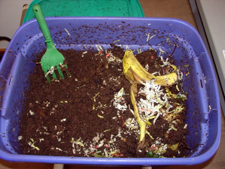 Worm Composter = Nature’s Best Fertilizer and Benefits!