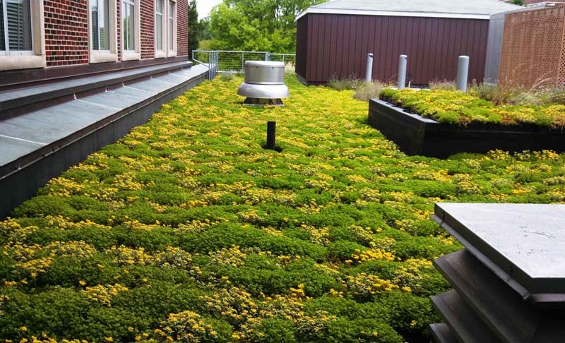 Installing Sustainable Green Roof Trays Guide